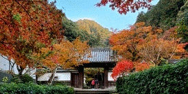 南禅寺の紅葉2025